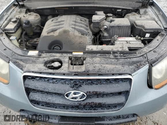 ✅ 2009 Hyundai Santa Fe Limited • VIN: 5NMSH73E29H289946 • Lot: 84168374. Listed on Copart with 176,859 mi. Free auction sales archive from the USA and detailed vehicle history report at DreamBid. Image 12.