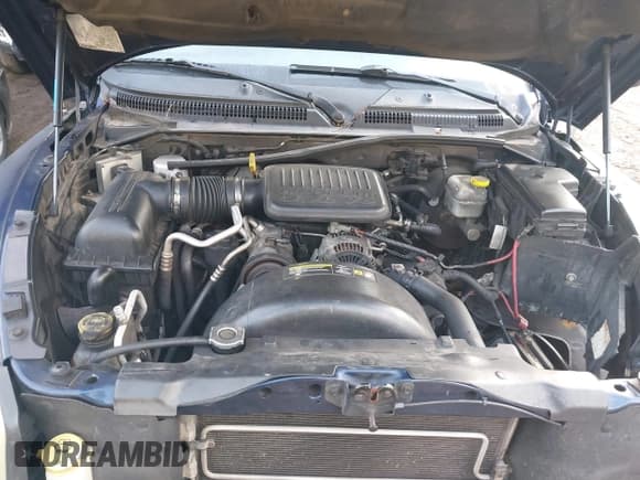 ✅ 2005 Dodge Dakota ST • VIN: 1D7HE28K85S147304 • Lot: 41202595. Wystawiony na IAAI z przebiegiem 209 017 mil. Bezpłatny archiwum sprzedaży aukcyjnych z USA i szczegółowy raport historii pojazdu na DreamBid. Zdjęcie 10.