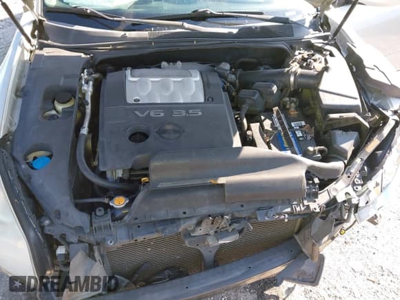 ✅ 2007 Nissan Maxima SE • VIN: 1N4BA41E87C835740 • Лот: 43788985. Опубликован ранее на IAAI с пробегом 140 100 миль. Бесплатный доступ к архиву аукционных продаж из США и подробный отчёт об истории автомобиля на DreamBid. Изображение 10.