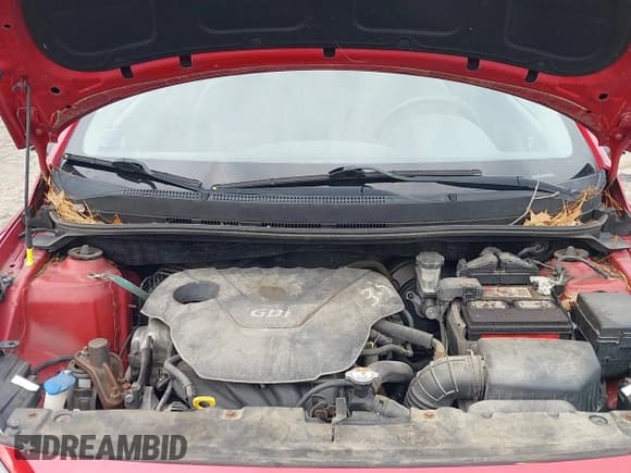 ✅ 2013 Hyundai Accent GS • VIN: KMHCT5AE1DU061105 • Lot: 43605215. Wystawiony na IAAI z przebiegiem 170 643 mil. Bezpłatny archiwum sprzedaży aukcyjnych z USA i szczegółowy raport historii pojazdu na DreamBid. Zdjęcie 10.