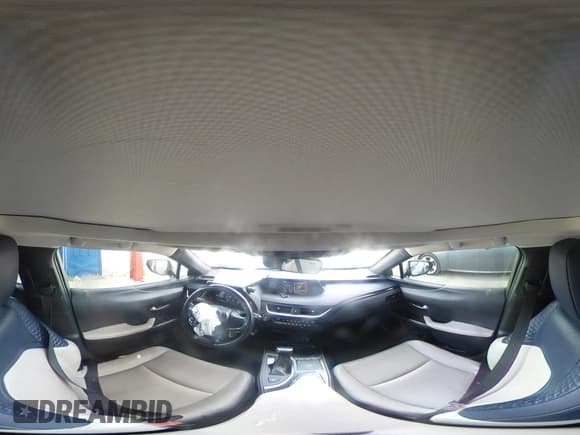 ✅ 2019 Lexus UX 200 • VIN: JTHY3JBH4K2016517 • Lot: 43129039. Wystawiony na IAAI z przebiegiem 100 911 mil. Bezpłatny archiwum sprzedaży aukcyjnych z USA i szczegółowy raport historii pojazdu na DreamBid. Zdjęcie 18.