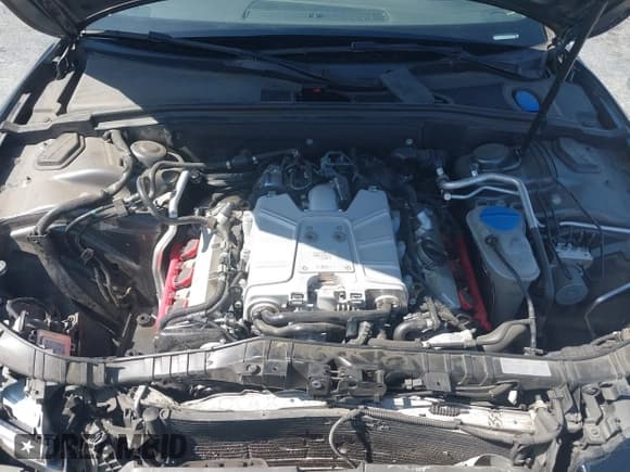 ✅ 2016 Audi S5 Premium Plus • VIN: WAUG4AFR9GA008680 • Lot: 42533150. Wystawiony na IAAI z przebiegiem 126 838 mil. Bezpłatny archiwum sprzedaży aukcyjnych z USA i szczegółowy raport historii pojazdu na DreamBid. Zdjęcie 10.