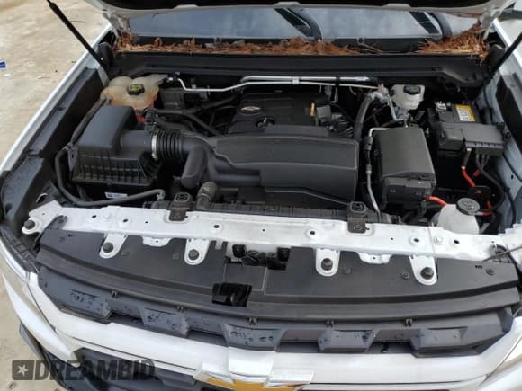 ✅ 2021 Chevrolet Colorado 2WD LT • VIN: 1GCHSCEA9M1287760 • Лот: 57926154. Опубликован ранее на Copart с пробегом 34 803 миль. Бесплатный доступ к архиву аукционных продаж из США и подробный отчёт об истории автомобиля на DreamBid. Изображение 12.