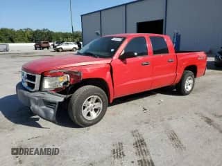 2008 Dodge Dakota SXT with VIN 1D7HE38K38S561679, listed as a Copart auction lot 54888025 with 187,308 mi miles and Salvage title. Bid and sale history available at DreamBid. Image 1.
