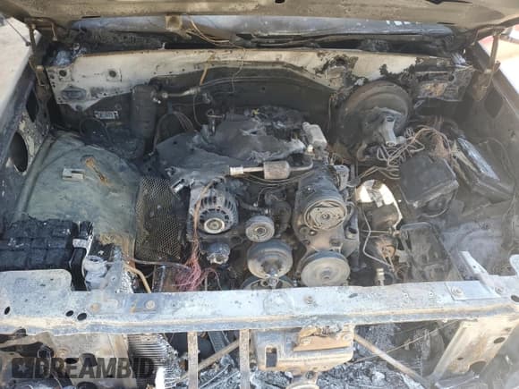 ✅ 1998 GMC Sierra 1500 • VIN: 2GTEK19R1W1527730 • Лот: 80983495. Опубликован ранее на Copart с пробегом Не указан. Бесплатный доступ к архиву аукционных продаж из США и подробный отчёт об истории автомобиля на DreamBid. Изображение 11.