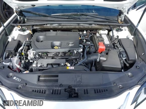 ✅ 2024 Lexus ES 250 • VIN: 58AD11D17RU012342 • Lot: 42207023. Listed on IAAI with 12,930 mi. Free auction sales archive from the USA and detailed vehicle history report at DreamBid. Image 10.