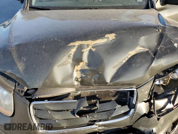 ✅ 2010 Hyundai Santa Fe GL • VIN: 5NMSG3AB4AH386154 • Lot: 87537145. Listed on Copart with 147,169 mi. Free auction sales archive from the USA and detailed vehicle history report at DreamBid. Image 12.