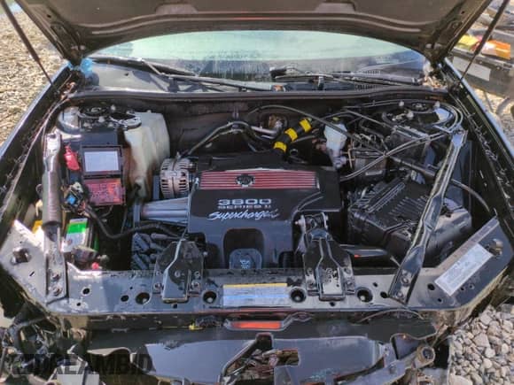 2004 Chevrolet Impala SS Supercharged z VIN 2G1WP551649325650, wystawiony jako Copart lot #51683935 z przebiegiem 195 676 mil mil oraz Szkoda całkowita • Salvage title. Historia ofert i sprzedaży dostępna na DreamBid. Obrazek 11.