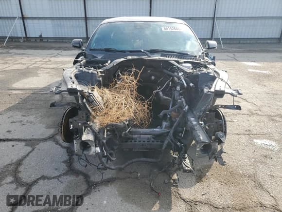 ✅ 2019 Ford Mustang GT Premium • VIN: 1FA6P8CFXK5193161 • Lot: 86142685. Listed on Copart with Not provided. Free auction sales archive from the USA and detailed vehicle history report at DreamBid. Image 5.