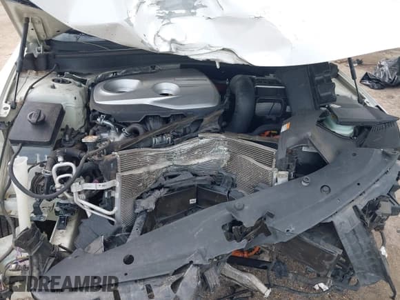 ✅ 2017 Kia Optima • VIN: KNAGT4LC8H5004991 • Lot: 43496608. Listed on IAAI with 119,125 mi. Free auction sales archive from the USA and detailed vehicle history report at DreamBid. Image 10.