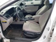 ✅ 2016 Hyundai Sonata SE • VIN: 5NPE24AF8GH366649 • Лот: 66293453. Опубликован ранее на Copart с пробегом 95 268 миль. Бесплатный доступ к архиву аукционных продаж из США и подробный отчёт об истории автомобиля на DreamBid. Изображение 7.