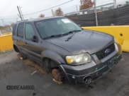 ✅ 2006 Ford Escape Hybrid • VIN: 1FMCU96H86KA74939 • Lot: 43663684. Listed on IAAI with Not provided. Free auction sales archive from the USA and detailed vehicle history report at DreamBid. Image 1.