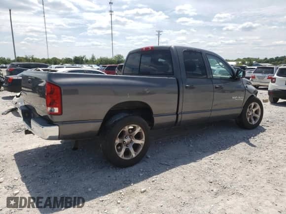 2004 Dodge 1500 SLT с VIN 1D7HA18N84S502602, выставлен на аукционе Copart как лот 66199284 с пробегом 224 248 миль миль и Списание • Salvage title. История ставок и продаж доступна на DreamBid. Изображение 3.