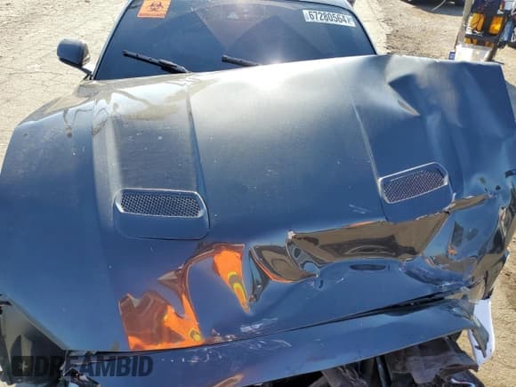 ✅ 2023 Ford Mustang GT • VIN: 1FA6P8CF7P5301291 • Лот: 67280564. Опубликован ранее на Copart с пробегом Не указан. Бесплатный доступ к архиву аукционных продаж из США и подробный отчёт об истории автомобиля на DreamBid. Изображение 12.