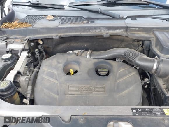 ✅ 2013 Land Rover LR2 • VIN: SALFR2BGXDH364562 • Лот: 42554838. Опубликован ранее на IAAI с пробегом 151 181 миль. Бесплатный доступ к архиву аукционных продаж из США и подробный отчёт об истории автомобиля на DreamBid. Изображение 10.