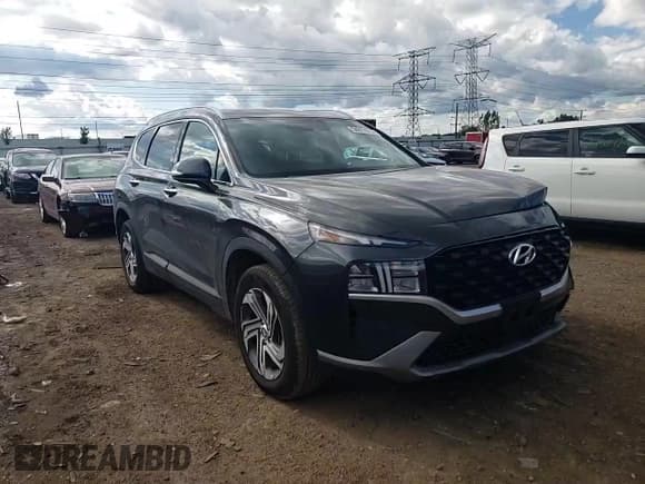 ✅ 2023 Hyundai Santa Fe SEL • VIN: 5NMS24AJ5PH609449 • Lot: 54072814. Wystawiony na Copart z przebiegiem 2 881 mil. Bezpłatny archiwum sprzedaży aukcyjnych z USA i szczegółowy raport historii pojazdu na DreamBid. Zdjęcie 10.