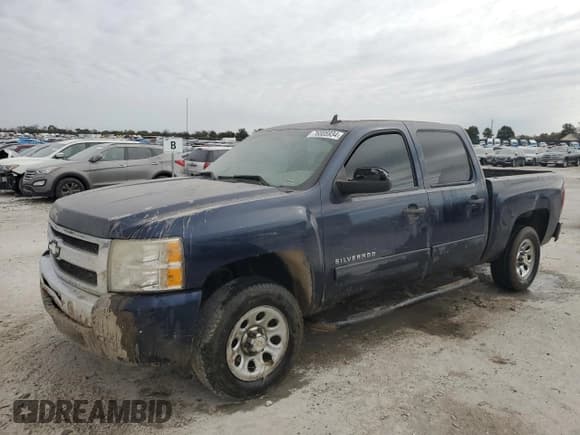✅ 2010 Chevrolet Silverado 1500 LS • VIN: 3GCRCREA9AG144342 • Lot: 76805934. Listed on Copart with 175,308 mi. Free auction sales archive from the USA and detailed vehicle history report at DreamBid. Image 1.