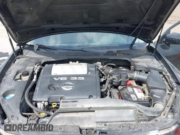 ✅ 2008 Nissan Maxima SE • VIN: 1N4BA41E18C804198 • Lot: 42822991. Listed on IAAI with 112,566 mi. Free auction sales archive from the USA and detailed vehicle history report at DreamBid. Image 10.