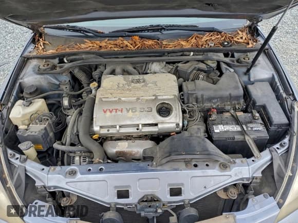 ✅ 2005 Toyota Solara SLE • VIN: 4T1FA38P75U059164 • Lot: 93845115. Wystawiony na Copart z przebiegiem 181 629 mil. Bezpłatny archiwum sprzedaży aukcyjnych z USA i szczegółowy raport historii pojazdu na DreamBid. Zdjęcie 11.