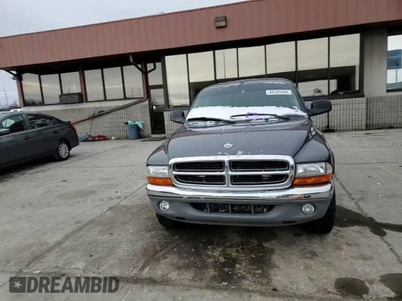 2004 Dodge Dakota SLT with VIN 1D7HL48K64S711774, listed as a Copart auction lot 84385994 with 253,318 mi miles and Clean title. Bid and sale history available at DreamBid. Image 11.