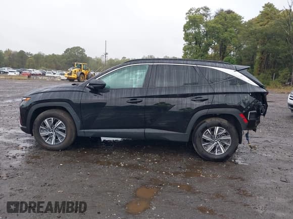 ✅ 2024 Hyundai Tucson Blue • VIN: KM8JBCD11RU223152 • Lot: 43410981. Listed on IAAI with 11,964 mi. Free auction sales archive from the USA and detailed vehicle history report at DreamBid. Image 14.