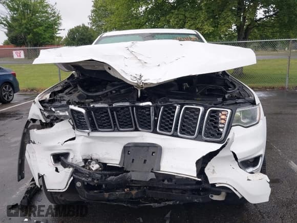 ✅ 2019 Jeep Grand Cherokee Limited • VIN: 1C4RJFBG1KC532697 • Lot: 43042573. Listed on IAAI with 81,064 mi. Free auction sales archive from the USA and detailed vehicle history report at DreamBid. Image 6.