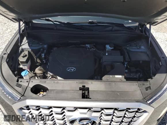 2022 Hyundai Palisade SEL с VIN KM8R4DHE4NU462141, выставлен на аукционе Copart как лот 67302294 с пробегом 31 229 миль миль и Списание • Salvage title. История ставок и продаж доступна на DreamBid. Изображение 12.