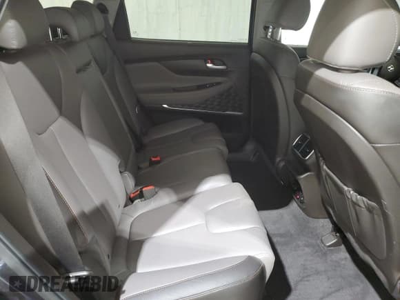 ✅ 2020 Hyundai Santa Fe Limited • VIN: 5NMS5CAAXLH302726 • Lot: 80444583. Wystawiony na Copart z przebiegiem 37 722 mil. Bezpłatny archiwum sprzedaży aukcyjnych z USA i szczegółowy raport historii pojazdu na DreamBid. Zdjęcie 11.