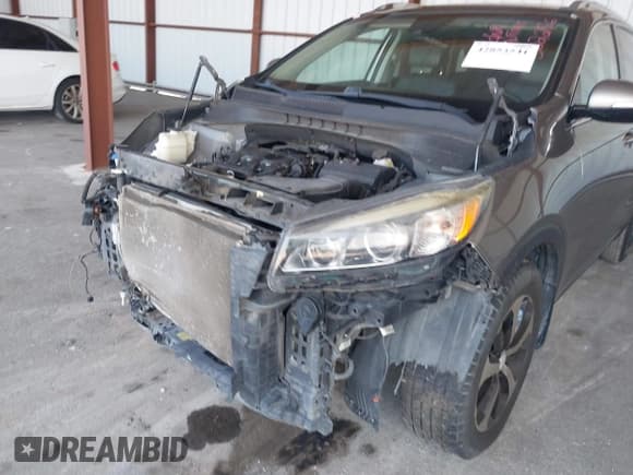 ✅ 2017 Kia Sorento EX • VIN: 5XYPH4A50HG302256 • Лот: 42853541. Опубликован ранее на IAAI с пробегом 123 529 миль. Бесплатный доступ к архиву аукционных продаж из США и подробный отчёт об истории автомобиля на DreamBid. Изображение 20.