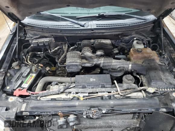 ✅ 2010 Ford F-150 XL • VIN: 1FTFW1EV4AKB56874 • Lot: 81451505. Listed on Copart with 217,915 mi. Free auction sales archive from the USA and detailed vehicle history report at DreamBid. Image 11.