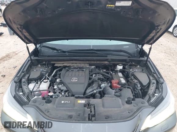 ✅ 2024 Lexus NX 350 Luxury • VIN: 2T2HGCEZ9RC049803 • Лот: 43544416. Опубликован ранее на IAAI с пробегом 19 083 миль. Бесплатный доступ к архиву аукционных продаж из США и подробный отчёт об истории автомобиля на DreamBid. Изображение 10.