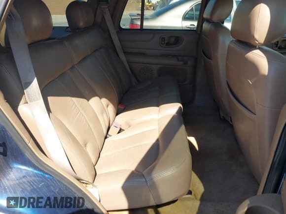 ✅ 1999 Chevrolet Blazer LS • VIN: 1GNCS13W4X2185382 • Lot: 42761545. Wystawiony na IAAI z przebiegiem 212 479 mil. Bezpłatny archiwum sprzedaży aukcyjnych z USA i szczegółowy raport historii pojazdu na DreamBid. Zdjęcie 8.