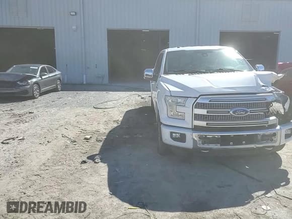 ✅ 2016 Ford F-150 Platinum • VIN: 1FTEW1EG7GFA42334 • Лот: 85666795. Опубликован ранее на Copart с пробегом 117 230 миль. Бесплатный доступ к архиву аукционных продаж из США и подробный отчёт об истории автомобиля на DreamBid. Изображение 13.