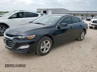 2024 Chevrolet Malibu LS with VIN 1G1ZB5STXRF116931, listed as a Copart auction lot 66397535 with 6,999 mi miles and Clean title. Bid and sale history available at DreamBid. Image 1.