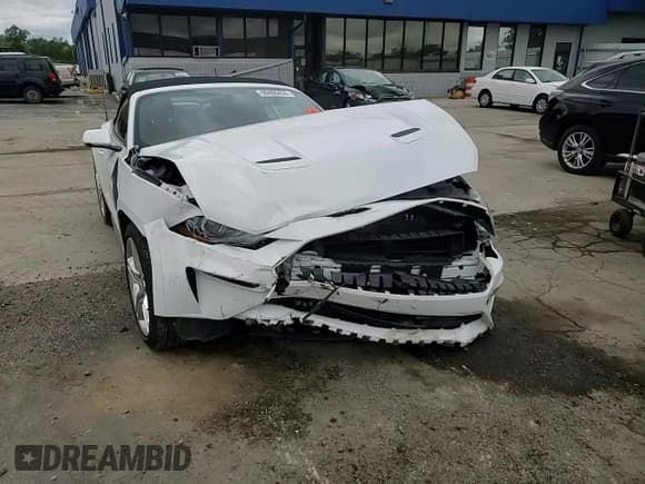 ✅ 2019 Ford Mustang EcoBoost • VIN: 1FATP8UH1K5201330 • Lot: 69406455. Listed on Copart with Not provided. Free auction sales archive from the USA and detailed vehicle history report at DreamBid. Image 13.
