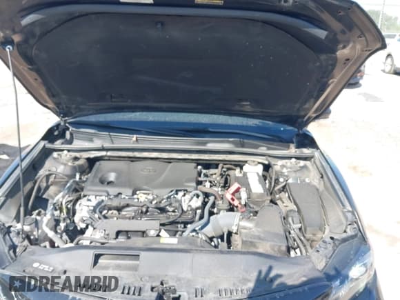 ✅ 2023 Toyota Camry SE • VIN: 4T1T11AK9PU760054 • Lot: 43056685. Wystawiony na IAAI z przebiegiem 44 268 mil. Bezpłatny archiwum sprzedaży aukcyjnych z USA i szczegółowy raport historii pojazdu na DreamBid. Zdjęcie 10.