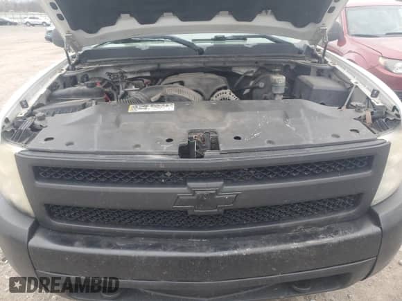 2008 Chevrolet Silverado 1500 Work Truck with VIN 1GCEC19J18E157842, listed as a Copart auction lot 81857434 with Not provided miles and Clean title. Bid and sale history available at DreamBid. Image 11.
