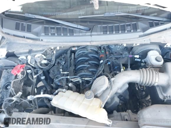 ✅ 2019 Ford F-150 XL • VIN: 1FTMF1C5XKKD38963 • Lot: 41643653. Listed on IAAI with 96,987 mi. Free auction sales archive from the USA and detailed vehicle history report at DreamBid. Image 10.