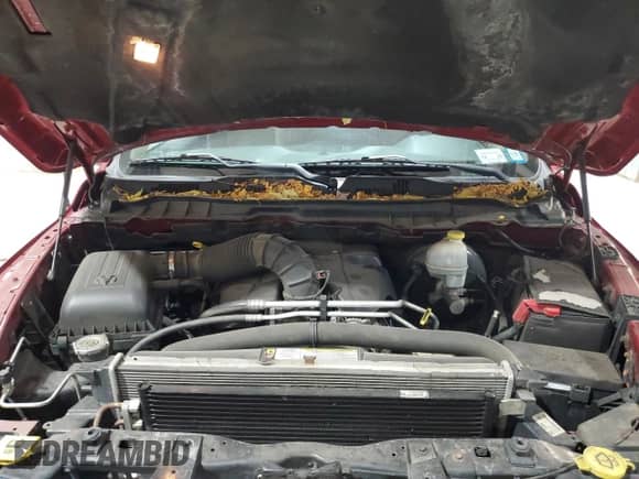 2009 Dodge 1500 SLT с VIN 1D3HV18TX9S809412, выставлен на аукционе Copart как лот 80314184 с пробегом 116 455 миль миль и Списание • Salvage title. История ставок и продаж доступна на DreamBid. Изображение 11.