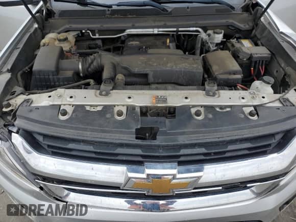 2019 Chevrolet Colorado 4WD LT with VIN 1GCHTCEA6K1345544, listed as a Copart auction lot 69826284 with 202,306 mi miles and Salvage title. Bid and sale history available at DreamBid. Image 11.