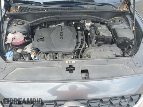 ✅ 2021 Hyundai Santa Fe SE • VIN: 5NMS14AJ1MH333382 • Lot: 58718904. Wystawiony na Copart z przebiegiem 39 226 mil. Bezpłatny archiwum sprzedaży aukcyjnych z USA i szczegółowy raport historii pojazdu na DreamBid. Zdjęcie 12.