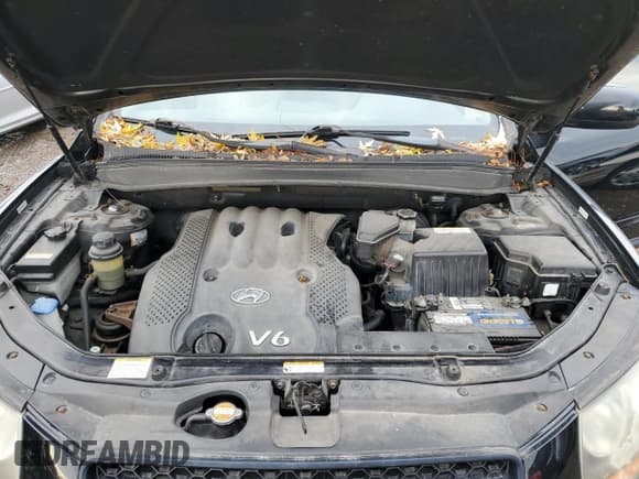 ✅ 2008 Hyundai Santa Fe GLS • VIN: 5NMSG13D78H188858 • Лот: 92222215. Опубликован ранее на Copart с пробегом 214 407 миль. Бесплатный доступ к архиву аукционных продаж из США и подробный отчёт об истории автомобиля на DreamBid. Изображение 11.