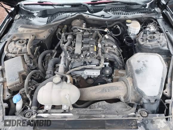 2023 Ford Mustang EcoBoost Premium с VIN 1FA6P8THXP5111826, выставлен на аукционе IAAI как лот 42608863 с пробегом 31 408 миль миль и . История ставок и продаж доступна на DreamBid. Изображение 10.