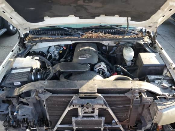 ✅ 2003 Chevrolet Silverado 1500 LS • VIN: 2GCEC19T131197995 • Lot: 69527004. Wystawiony na Copart z przebiegiem 197 471 mil mil. Skorzystaj z bezpłatnego archiwum sprzedaży aukcyjnych z USA i zobacz szczegółowy raport historii pojazdu na DreamBid. Zdjęcie 11.