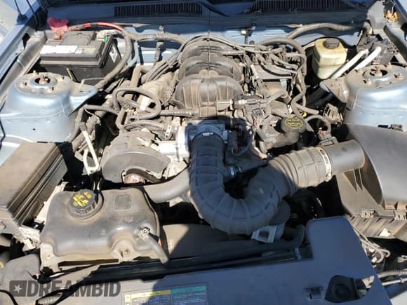 ✅ 2005 Ford Mustang Deluxe • VIN: 1ZVFT80N655161813 • Lot: 89545015. Listed on Copart with 176,661 mi. Free auction sales archive from the USA and detailed vehicle history report at DreamBid. Image 11.