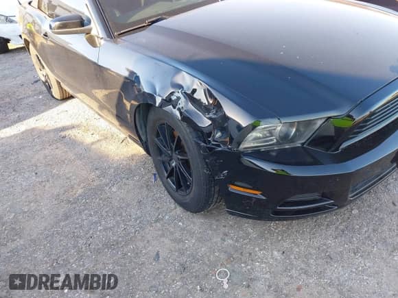 2014 Ford Mustang V6 with VIN 1ZVBP8EM1E5328453, listed as a IAAI auction lot 43291892 with 174,135 mi miles and . Bid and sale history available at DreamBid. Image 6.