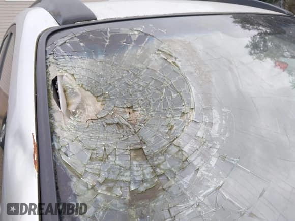 ✅ 2008 Kia Rondo LX • VIN: KNAFG526287137946 • Lot: 42642168. Wystawiony na IAAI z przebiegiem 81 278 mil. Bezpłatny archiwum sprzedaży aukcyjnych z USA i szczegółowy raport historii pojazdu na DreamBid. Zdjęcie 14.