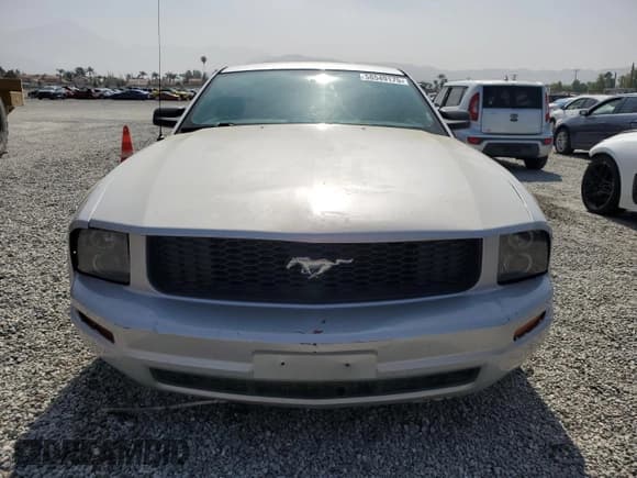 ✅ 2007 Ford Mustang Deluxe • VIN: 1ZVFT80N875282300 • Лот: 58549175. Опубликован ранее на Copart с пробегом 157 176 миль. Бесплатный доступ к архиву аукционных продаж из США и подробный отчёт об истории автомобиля на DreamBid. Изображение 5.