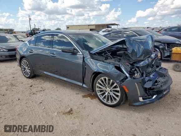 ✅ 2022 Cadillac CT5 Premium Luxury • VIN: 1G6DN5RK5N0135926 • Лот: 81553455. Опубликован ранее на Copart с пробегом 32 541 миль. Бесплатный доступ к архиву аукционных продаж из США и подробный отчёт об истории автомобиля на DreamBid. Изображение 4.