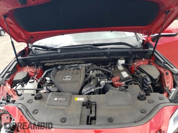 ✅ 2023 Lexus NX 350 Premium • VIN: 2T2GGCEZ3PC029040 • Lot: 50768965. Listed on Copart with 20,998 mi. Free auction sales archive from the USA and detailed vehicle history report at DreamBid. Image 13.